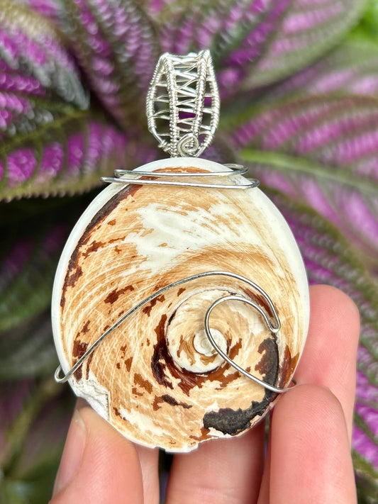 Shiva Eye Shell Fossil Pendant